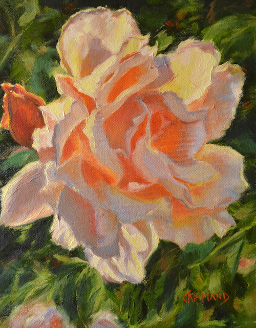 Morning Rose 10x8 $400 at Hunter Wolff Gallery